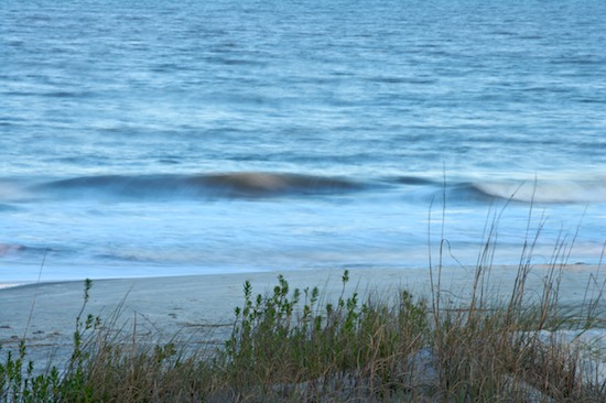 Beach;Beaches;Blue;Botanical;Botanicals;botany;close of day;Drift;Dune;dusk;evening;eventide;flora;Grass;greenery;Heap;herb;herbage;Hillock;last Light;Mound;Ocean;plant;plants;Ridge;San;Sand;Sand Dune;Sea;Shore;Shoreline;shrub;Sky;sun;sunset;Vegetation;Water;Waves;White Sand